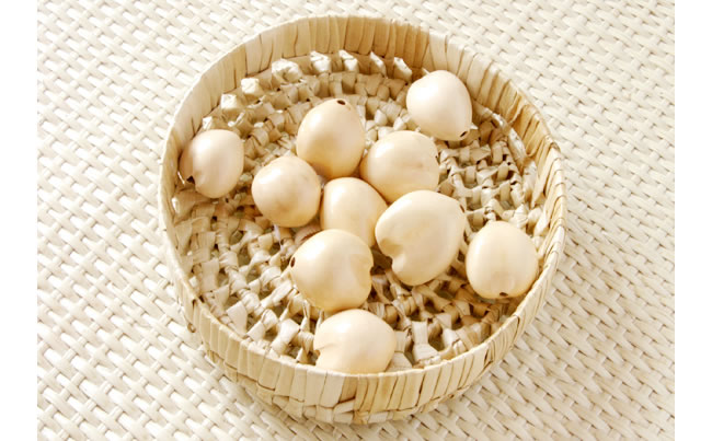 ブラックシェル・ブレスレット